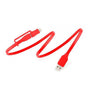 TYLT FLYP-DUO Reversible USB Charge And Sync Cable Lightning Lightning / USB 3.3 FT Length - Red